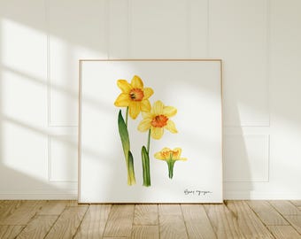 Daffodil White Background - Botanical Watercolor Artwork - Floral Painting - Vintage Style Wall Decor