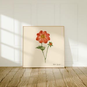 Fundo bege claro Dahlia - Arte em aquarela botânica - Pintura floral - Decoração de parede em estilo vintage