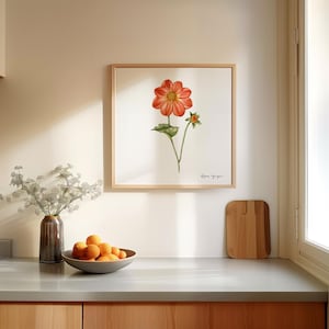 Fundo branco Dahlia - Arte botânica em aquarela - Pintura floral - Decoração de parede em estilo vintage