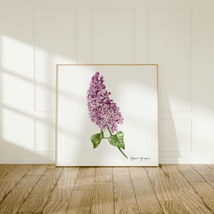 Lilac White Background - Botanical Watercolor Artwork - Floral Painting - Vintage Style Wall Decor