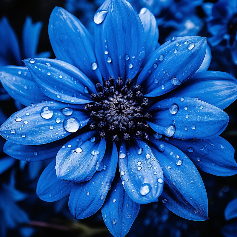 Living Room Wall Art, Nature Wall Art, Canvas Wall Art, Wall Art, Art