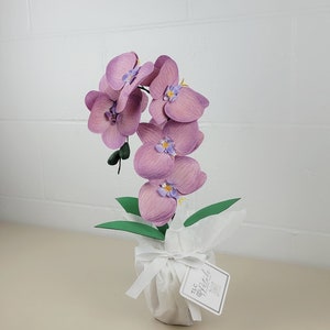 Orchidées en papier avec pot