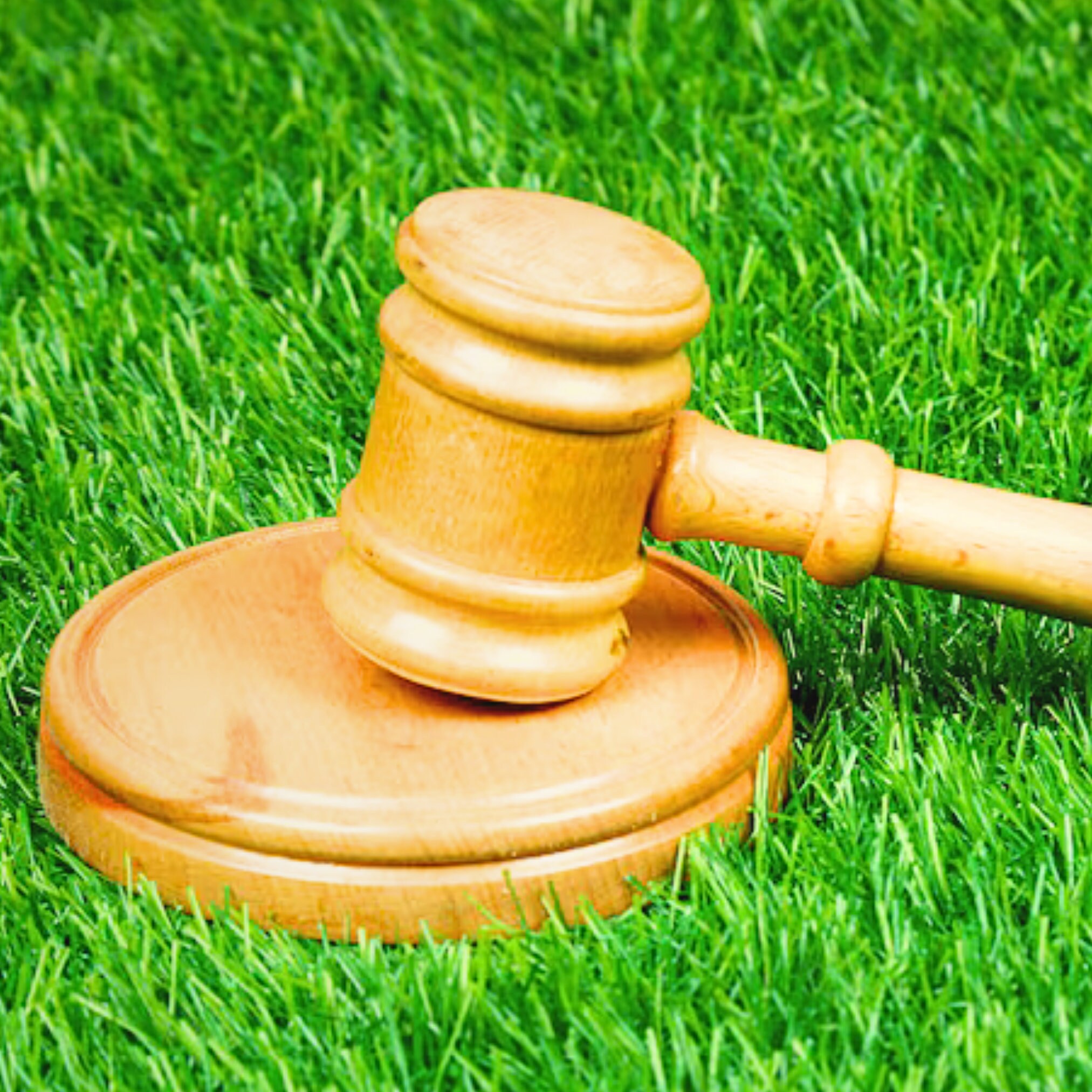 Wooden Judge's Gavel Rosewood and Beechwood Judge Mallet Engraved