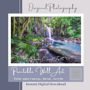 Wall Art Waterfall Cedar Creek Falls QLD Digital Photo Home Office Decor Driftwood Green Rainforest water forest Zen river creek picture DIY