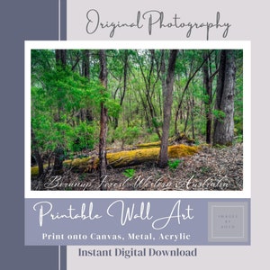 May include: A photograph of a forest scene with tall trees and a fallen log covered in moss. The image is titled "Beranup Forest Western Australia" and is described as printable wall art.