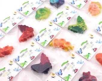 Bug Crayon Party Favors – Insect Crayons for Kids – Garden Party Favors – Ladybug, Butterfly, Bee Crayons – Birthday Favor Bags