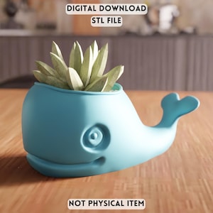 Maceta de ballena 3D (archivo STL) - Maceta suculenta con forma de animal para decoración del hogar (descarga digital)