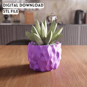 3D Low Poly Succulent Planter STL File - Geometric plant container design (Digital Download)