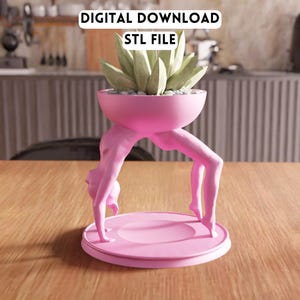 3D Acrobatic Human Planter STL Datei - Einzigartige Skulptur Geschenk (Digitaler Download)