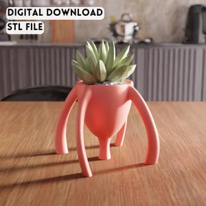 Maceta para suculentas con trípode 3D, archivo STL - Diseño moderno de maceta decorativa de escritorio (descarga digital)