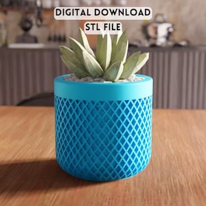 3D Mesh Planter Pot STL File - modern succulent decor, desktop plant holder (Digital Download)