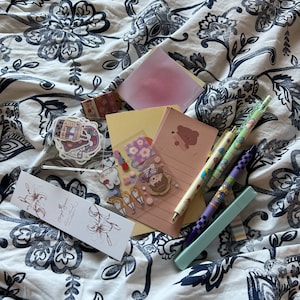 Mystery Cute Stationary Grab Bag
