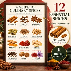 Könnte beinhalten: Ein gerahmtes Lehrplakat mit dem Titel A GUIDE TO CULINARY SPICES, das Illustrationen und Beschreibungen von 12 Gewürzen zeigt, darunter Zimt, Nelken, Sternanis, Kardamom, Kreuzkümmel, Koriander, Kurkuma, Paprika, Ingwer, Pfeffer, Muskat und Safran.