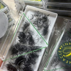 1000 Premade loose fans| 12D Volume | Handmade volume fans for mega volume eyelash extensions| 0.05 | Made in Vietnam | Pinneacle Lash