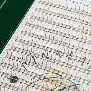 Brown Wispy Vorgefertigte Volumen Wimpernverlängerung | 5D, 1200 Fächer