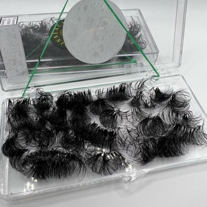 7D Camelia Wispy Premade Fans | Camelia Volume Fans + Premade Spike | 3 Lengths in 1 Lash | For Professional Lash Extensions | 1000 Fans