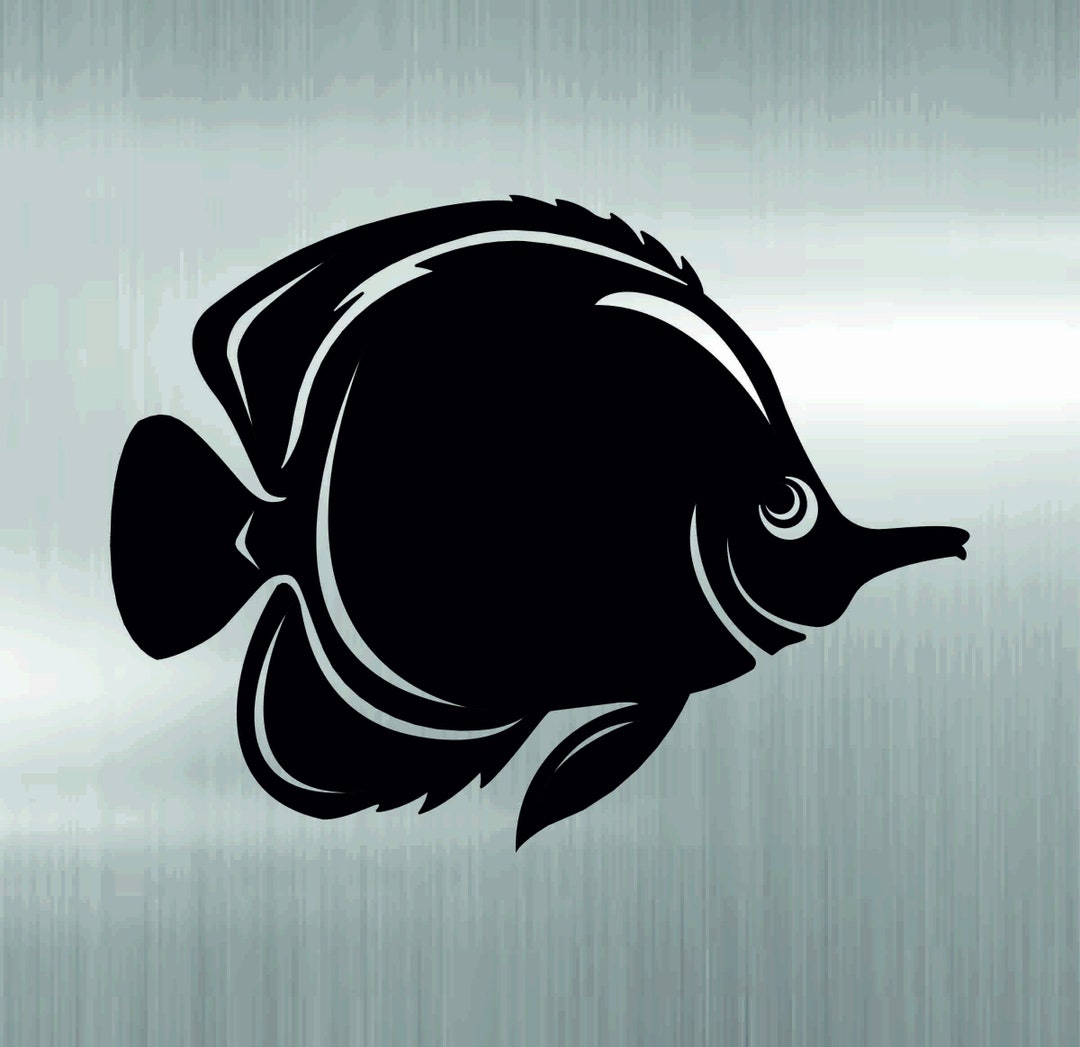 Aquatic Splendor : the Enchanting Fish of the Sea, Fishing, Wilderness ...