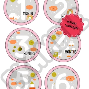 Whimsical Pink Baby Monthly Printable Digitals - Nursery Decor, Baby Shower Gift - Instant Download