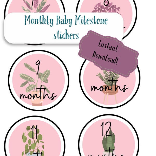 Monthly Pink Baby Stickers - Printable Digital Download for Milestone Tracking