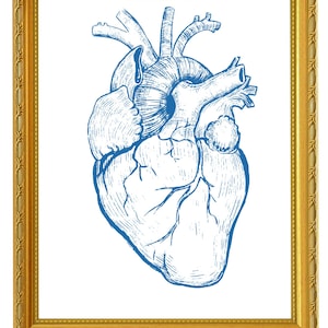 Medical Office Decor | Anatomical Heart Flower Art | Gift for Doctor | Science Lover Wall Art