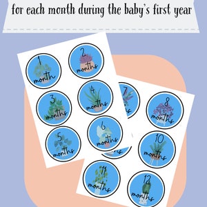 Baby Milestone Monthly Printable Digital Sticker Set - Blue Plants - Nursery Decor