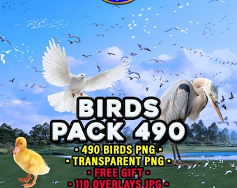 Birds Overlays: 490 Transparent PNG + Free Gift Sky Texture & Feathers For Digital Use