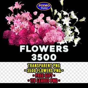 May include: A digital collection of pink and white floral arrangements featuring lilies and hydrangeas. The image includes the text PIXMO Digital, FLOWERS 3500, TRANSPARENT PNG, 3500 FLOWERS PNG, FREE GIFT, and 115 LEAVES PNG against a black background.