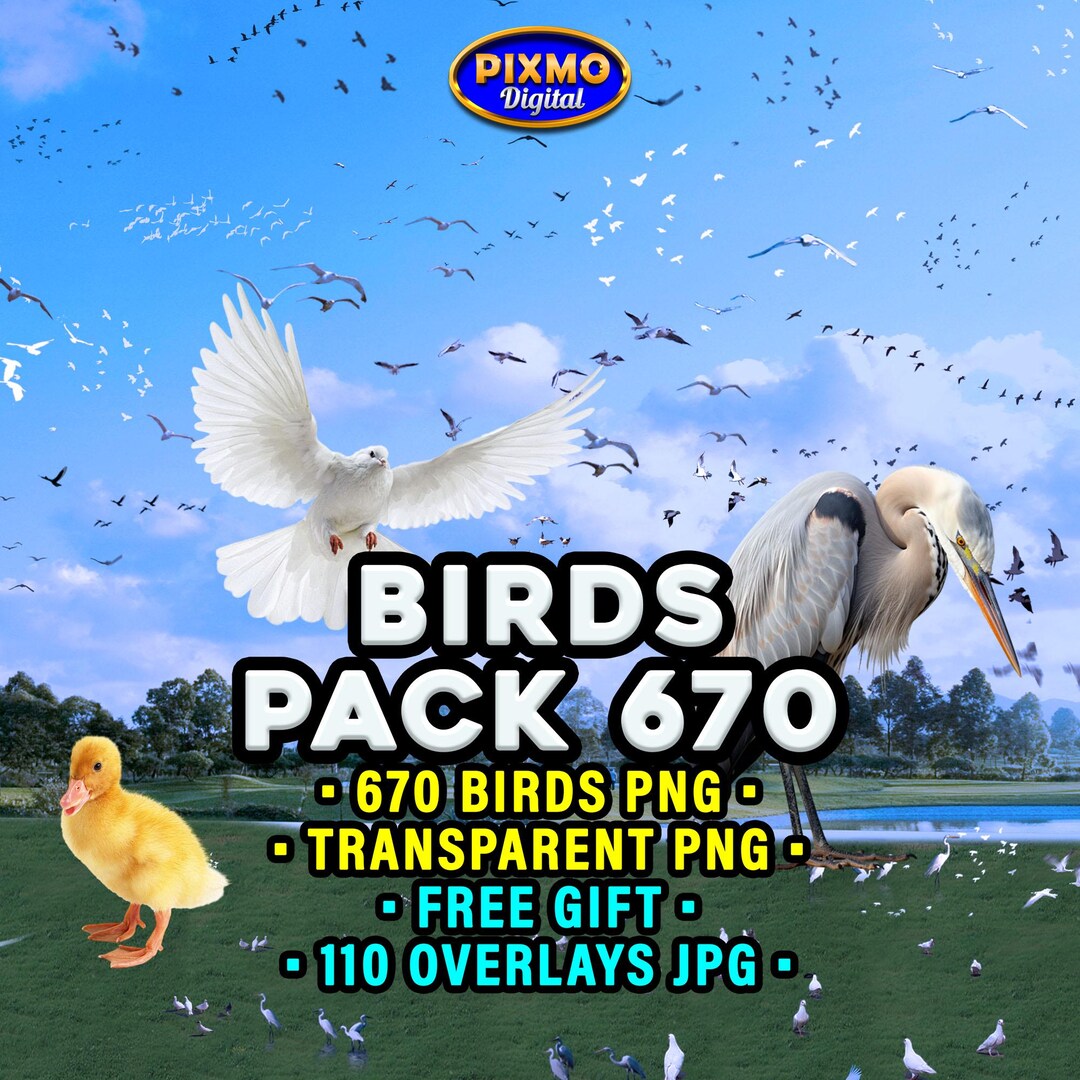 Bird Pattern Overlay Birds Overlays: 670 Transparent PNG + Free Gift Sky Texture & Feathers ...