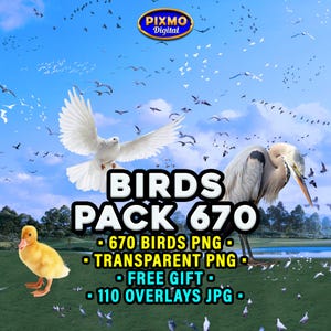 Puede incluir: Un gráfico digital con una paloma blanca en vuelo, una garza gris sobre hierba y un patito amarillo. El texto dice PIXMO Digital, BIRDS PACK 670, 670 BIRDS PNG, TRANSPARENT PNG, FREE GIFT y 110 OVERLAYS JPG sobre un fondo de cielo azul.