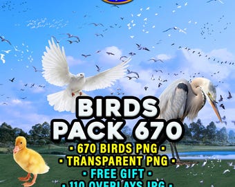 Birds Overlays: 670 Transparent PNG + Free Gift Sky Texture & Feathers For Digital Use