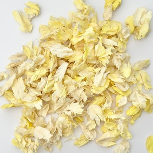 Elfenbein & Gelbe Konfetti Blütenblätter | Getrocknete Blütenblätter | Biologisch abbaubares Konfetti | Tisch Dekor | Konfetti werfen | Echtes Blütenblatt | Hochzeitskonfetti