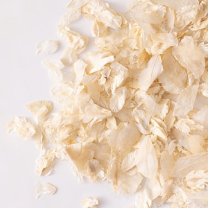 Pétalos de confeti de color marfil para bodas / Pétalos secos biodegradables naturales / Pétalos reales / Confeti para lanzar / Confeti de pétalos