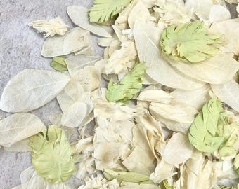 Pétalos secos de color marfil y verde para confeti de bodas – 1 litro / Pétalos biodegradables reales