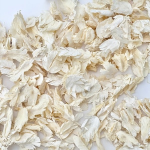 Petali di coriandoli avorio e bianco / Petali secchi / Coriandoli biodegradabili / Decorazioni da tavola / Coriandoli da lancio / Petali veri / Coriandoli da matrimonio