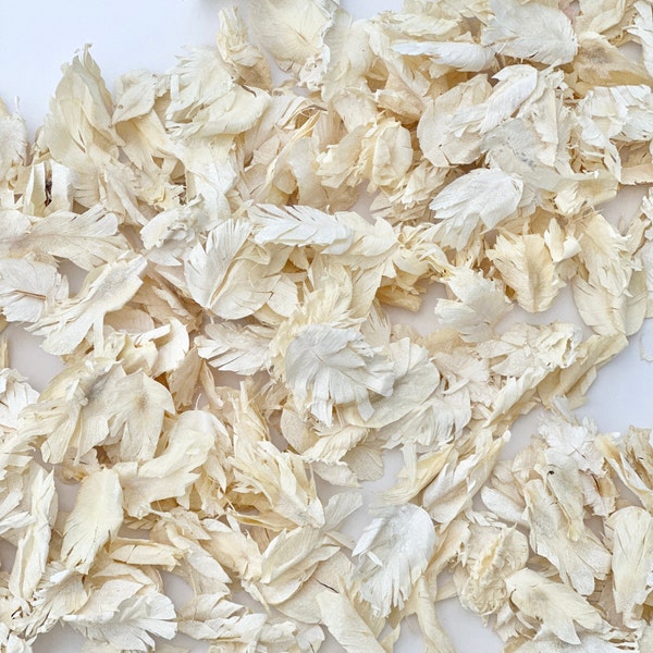 Ivory & White Confetti Petals | Dried Petals | Biodegradable Confetti | Table Decor | Throwing Confetti | Real Petal | Wedding Confetti