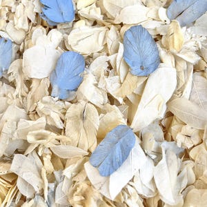 Pétales séchés ivoire et bleu pour confettis de mariage – 1 litre | Véritables pétales biodégradables