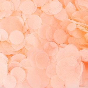 Peach Biodegradable Wedding Confetti | Blush Paper Circle Confetti | Throwing Tissue Confetti | 20g Bag | 20 Handfuls