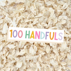100 Hochzeitsgäste Ivory Konfetti Blütenblätter | Biologisch abbaubares Konfetti | Getrocknete Hochzeitskonfetti-Blütenblätter | Konfetti werfen | Echte getrocknete Blütenblätter
