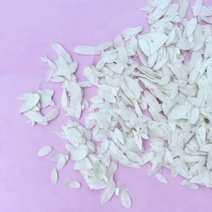 Witte confettibloemblaadjes | Zuiver witte biologisch afbreekbare confetti | Bruiloftsconfetti | Confetti gooien | Echte gedroogde bloemblaadjes | Huwelijksceremonie