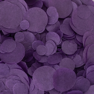 Coriandoli viola biodegradabili per matrimonio / Coriandoli di carta viola scuro Cadbury / Coriandoli di fazzoletti da lancio / Sacchetto da 20 g / 20 manciate