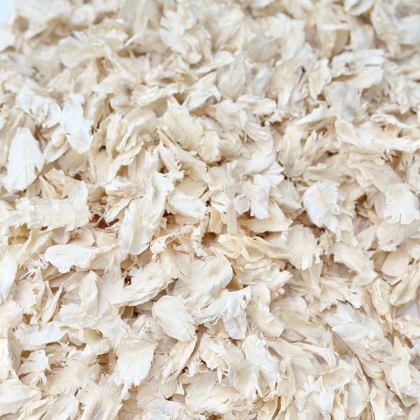 Ivory Wedding Confetti Petals | Ivory Biodegradable Confetti | Dried Wedding Confetti Petals | Throwing Confetti | Real Dried Petals