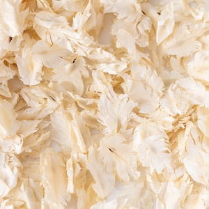 Ivory Wedding Confetti Petals | Cream Biodegradable Confetti | Dried Wedding Confetti Petals | Throwing Confetti | Real Dried Petals