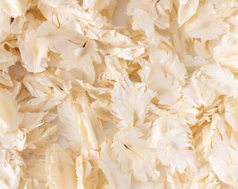 Dollz Confetti Petals Biodegradable Wedding Confetti - Real Dried Petals In Ivory & Mixed Colors Flower Petals - Foto 8