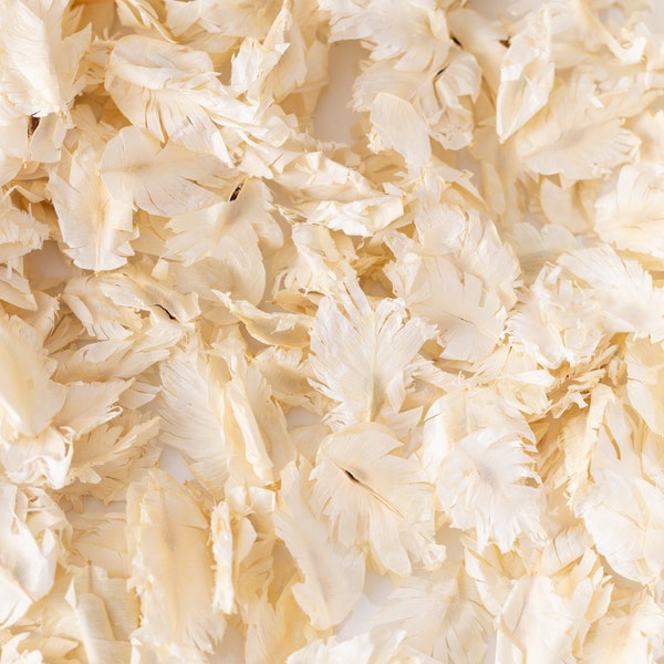 Ivory Wedding Confetti Petals | Cream Biodegradable Confetti | Dried Wedding Confetti Petals | Throwing Confetti | Real Dried Petals