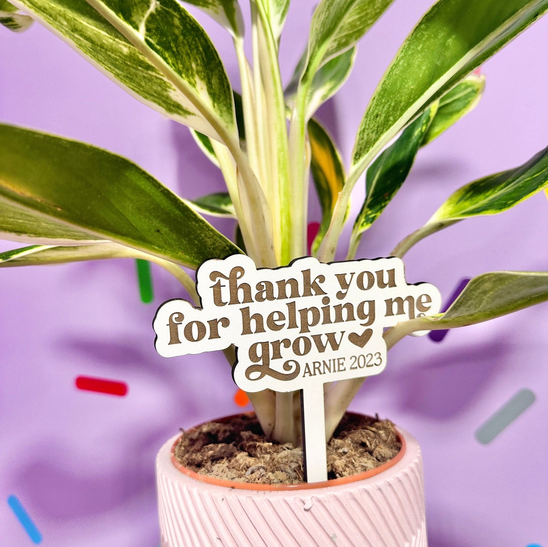Thank You Plant Gift Thank You Teacher Gift Wooden Planter Sign Stake ...