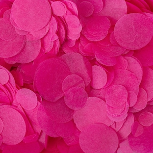 Confettis de mariage biodégradables rose vif | Confettis ronds en papier fuchsia | Lancer de confettis en papier | Sac de 20 g | 20 poignées