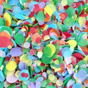 Coriandoli biodegradabili arcobaleno per matrimonio / Coriandoli di carta a forma di cerchio / Coriandoli di fazzoletti da lancio / Sacchetto da 20 g / 20 manciate