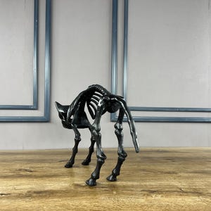 May include: A black cat skeleton sculpture with a detailed rib cage and leg bones. The sculpture is positioned on a wooden surface, with a light grey wall and blue framed rectangles in the background. The cat is in a crouching position.