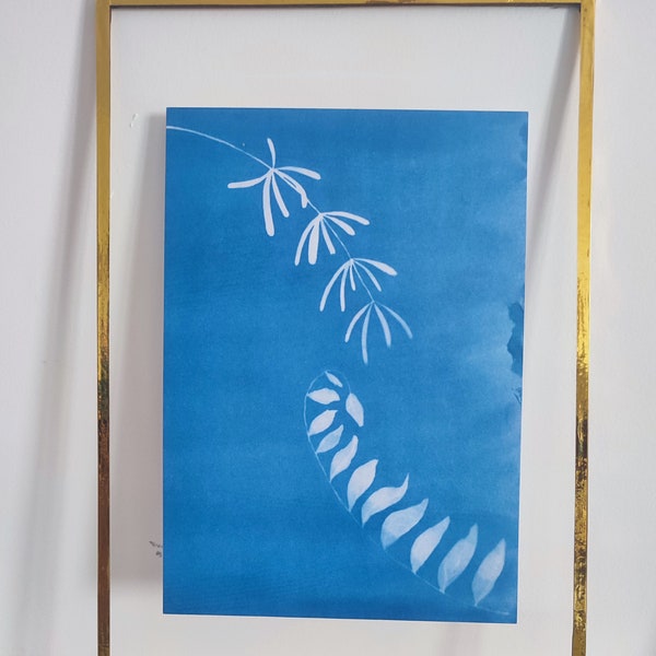 cyanotype 1