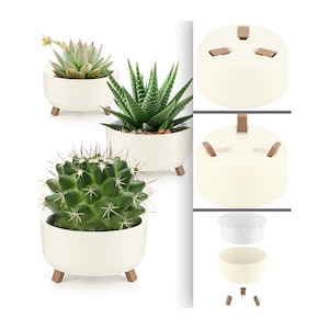 Könnte beinhalten: Weißer Keramiktopf mit drei Holzbeinen, mit einer Sukkulentenpflanze. Der Topf ist zerlegt dargestellt, mit den Beinen und dem Sockel separat.